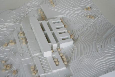 Maquetas: Hospital do Funchal, Madeira (figura 2)